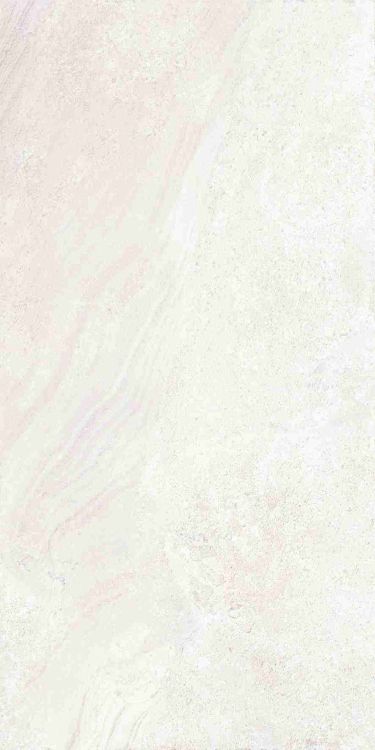 Petra Viva Bone Matte 24 x 48